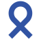 lansidai logo